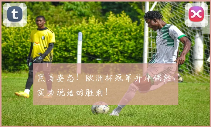 黑马姿态!欧洲杯冠军并非偶然,实力说话的胜利!